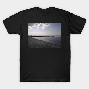 Serenity T-Shirt